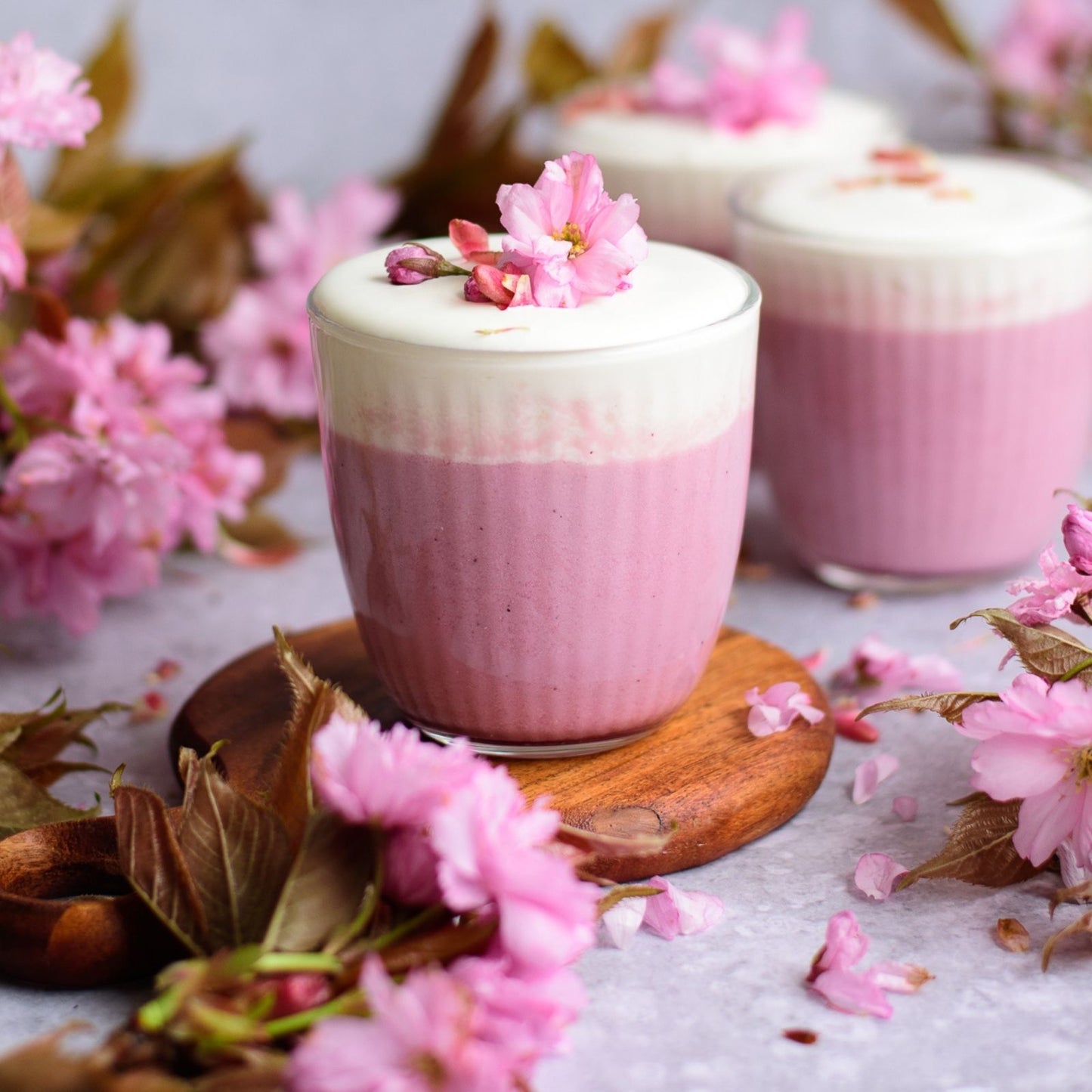 Sakura Cherry Blossom Powder 500g